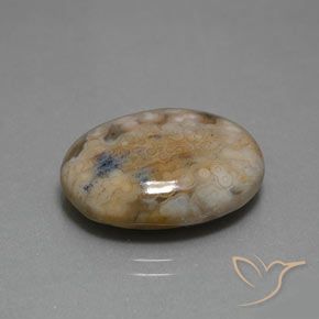 13.80 ct Multicolor Jasper Stone, Natural Jasper in Oval Cabochon Shape for Sale