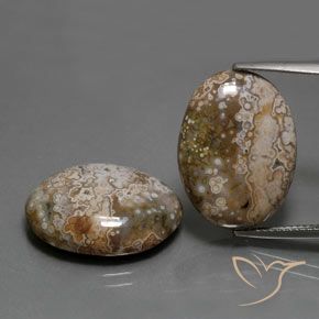 25.6 ct Oval Jasper, 20.1 x 15.2 mm From Indonesia, Photo A