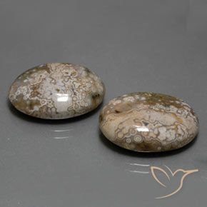 25.60 ctw Multicolor Jasper Stones, Natural Jasper in Oval Cabochon Shape for Sale