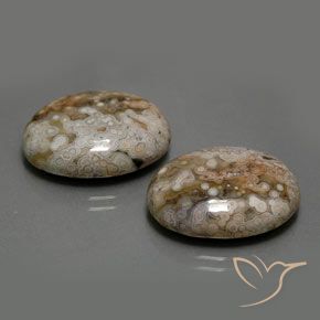 26.33 ctw Multicolor Jasper Stones, Natural Jasper in Oval Cabochon Shape for Sale