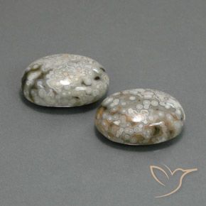 23.48 ctw Multicolor Jasper Stones, Natural Jasper in Oval Cabochon Shape for Sale