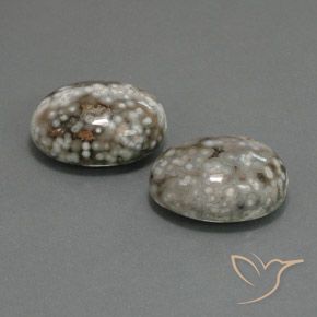 25.02 ctw Multicolor Jasper Stones, Natural Jasper in Oval Cabochon Shape for Sale