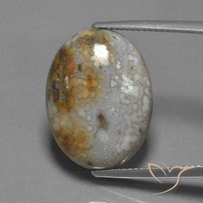 13.45ct Natural Multicolor Jasper, Oval, Opaque