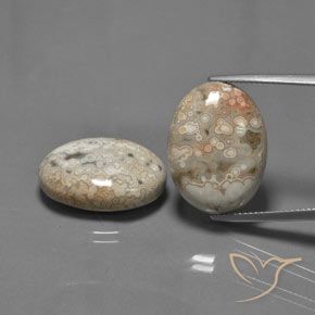 27.89 ct Oval Jasper, 20.1 x 15.1 mm From Indonesia, Photo A