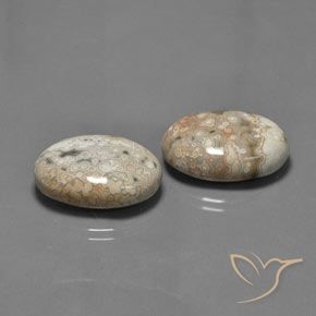 27.89 ctw Multicolor Jasper Stones, Natural Jasper in Oval Cabochon Shape for Sale