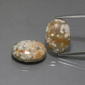 Multicolor Jasper Gem - 7.9ct Oval Cabochon (ID: 371231)