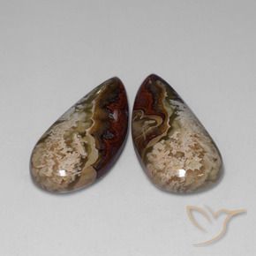 34.78 ctw Multicolor Jasper Stones, Natural Jasper in Fancy Cabochon Shape for Sale
