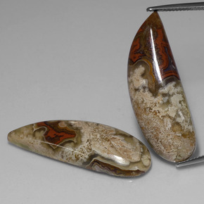 36.75 ct Multicolor Jasper Gemstone, Jasper Gem in Fancy Cabochon Shape for Sale.