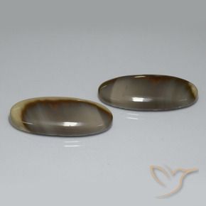52.70 ctw Multicolor Jasper Stones, Natural Jasper in Oval Cabochon Shape for Sale