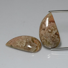 Multicolor Jasper Gem - 10.2ct Fancy Cabochon (ID: 391155)