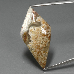 15.5ct Rhomb Cabochon Multicolor Jasper Gem for sale 15.5ct Rhomb Cabochon Multicolor Jasper Gem (ID: 391163)