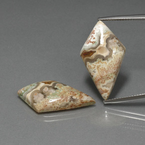 9.2ct Rhomb Cabochon Multicolor Jasper Gem for sale 9.2ct Rhomb Cabochon Multicolor Jasper Gem (ID: 391165)