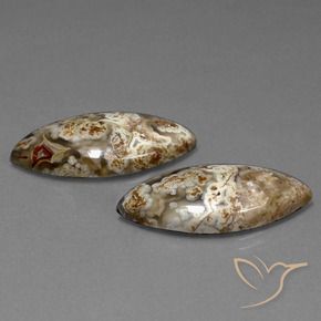 25.56 ctw Multicolor Jasper Stones, Natural Jasper in Marquise Cabochon Shape for Sale
