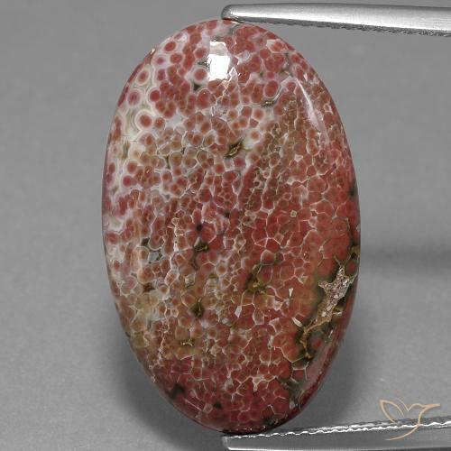 11.71ct Natural Multicolor Jasper, Oval, Opaque