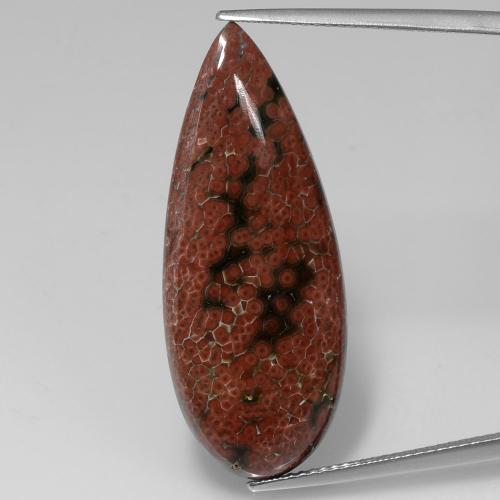 Multicolor Jasper Gem - 15.5ct Pear Cabochon (ID: 392088)