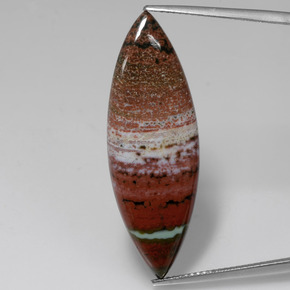13.09 ct Multicolor Jasper Gemstone, Jasper Gem in Marquise Cabochon Shape for Sale.