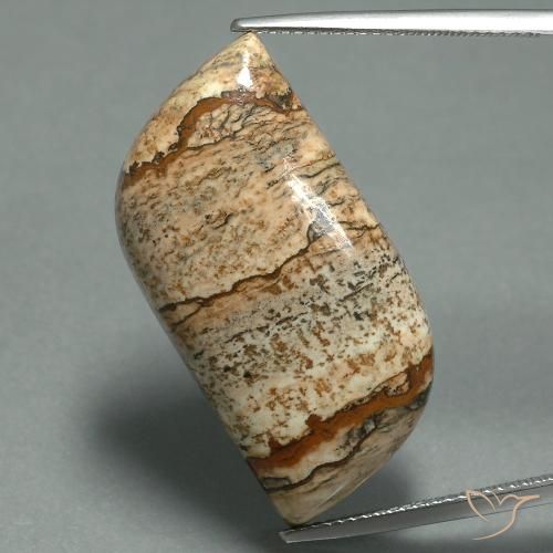 27.45ct Natural Multicolor Jasper, Fancy, Opaque