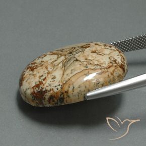 Jasper Gemstone in 26.2 x 21.4 mm Size for Sale, Jasper Stone in Multicolor Color