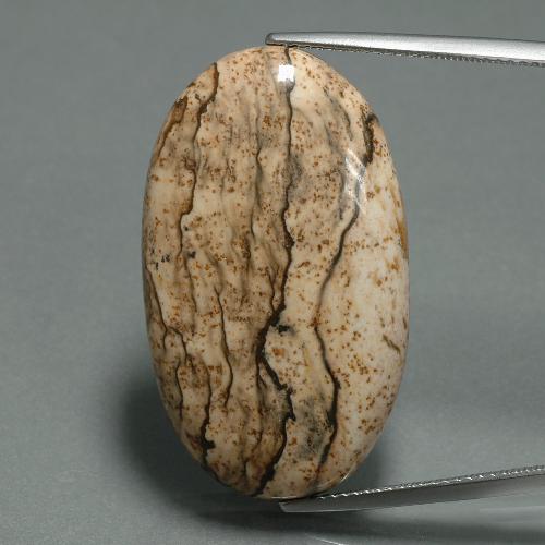 Multicolor Jasper Gem - 34.9ct Oval Cabochon (ID: 393961)