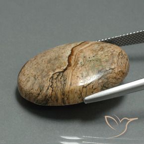 Jasper Gemstone in 27.9 x 21.5 mm Size for Sale, Jasper Stone in Multicolor Color