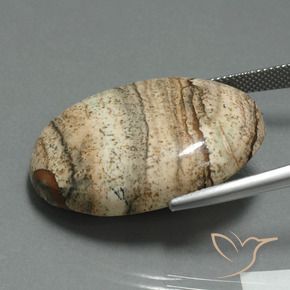 Jasper Gemstone in 31.5 x 24 mm Size for Sale, Jasper Stone in Multicolor Color