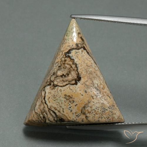 24.08ct Natural Multicolor Jasper, Trillion, Opaque