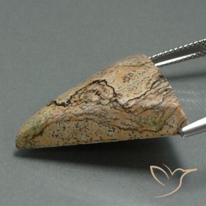 Jasper Gemstone in 25.8 x 24.3 mm Size for Sale, Jasper Stone in Multicolor Color