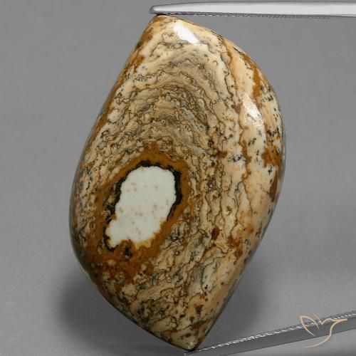 47.70ct Natural Multicolor Jasper, Fancy, Opaque
