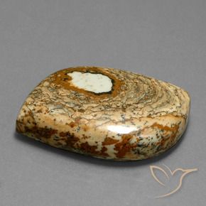 47.70 ct Multicolor Jasper Stone, Natural Jasper in Fancy Cabochon Shape for Sale