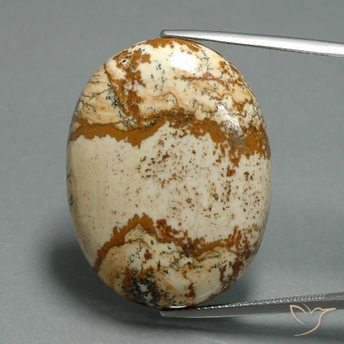 43.57ct Natural Multicolor Jasper, Oval, Opaque