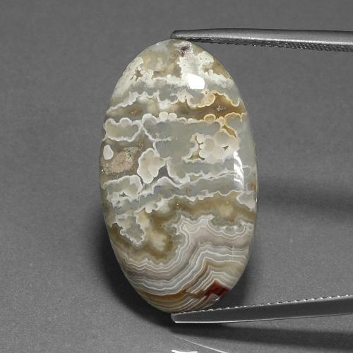 Многоцветный Яшма Камень - 18.2ct Овал Кабошон (ID: 394283)