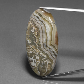 Multicolor Jasper Gem - 36.6ct Oval Cabochon (ID: 394312)