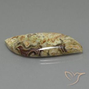 18.71 ct Multicolor Jasper Stone, Natural Jasper in Fancy Cabochon Shape for Sale