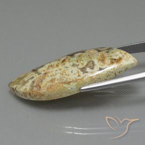 Jasper Gemstone in 37 x 15 mm Size for Sale, Jasper Stone in Multicolor Color