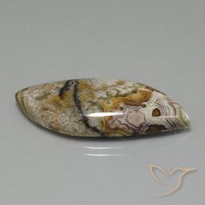 22.13 ct Multicolor Jasper Stone, Natural Jasper in Fancy Cabochon Shape for Sale