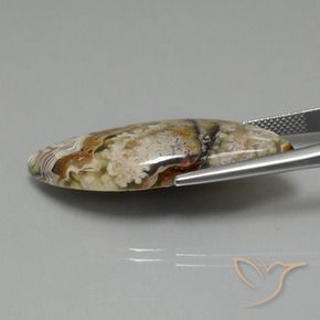 Jasper Gemstone in 36.4 x 15.2 mm Size for Sale, Jasper Stone in Multicolor Color