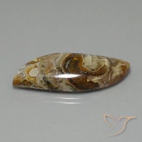 22.13 ct Multicolor Jasper Stone, Natural Jasper in Fancy Cabochon Shape for Sale