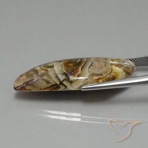 Jasper Gemstone in 36.7 x 14.7 mm Size for Sale, Jasper Stone in Multicolor Color