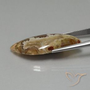 Jasper Gemstone in 34.6 x 14.7 mm Size for Sale, Jasper Stone in Multicolor Color