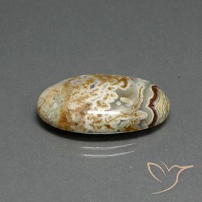 14.29 ct Multicolor Jasper Stone, Natural Jasper in Oval Cabochon Shape for Sale