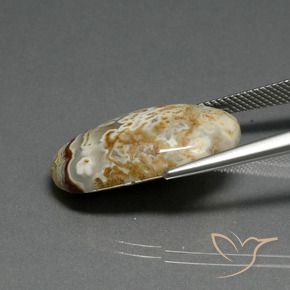 Jasper Gemstone in 24.3 x 14.5 mm Size for Sale, Jasper Stone in Multicolor Color