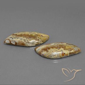 39.01 ctw Multicolor Jasper Stones, Natural Jasper in Fancy Cabochon Shape for Sale