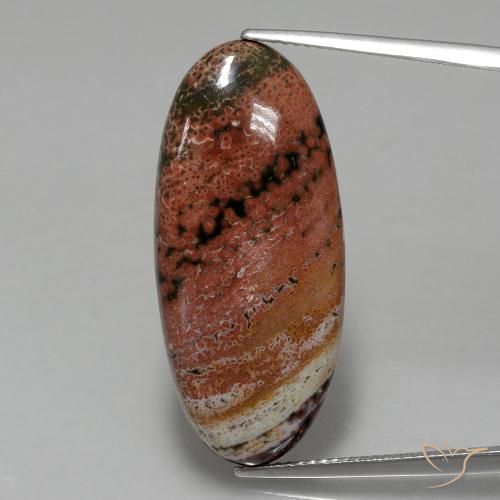 15.75ct Natural Multicolor Jasper, Oval, Opaque