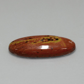 17.43 ct Multicolor Jasper Stone, Natural Jasper in Oval Cabochon Shape for Sale