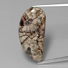 8.64 ct Multicolor Jasper Gemstone, Jasper Gem in Fancy Cabochon Shape for Sale.