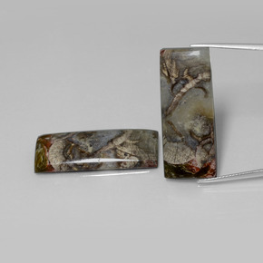 Многоцветный Яшма Камень - 16.7ct Багет Кабошон (ID: 398766)
