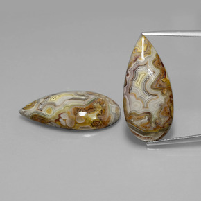 22.75 ctw Multicolor Jasper Gemstones, Jasper Gems in Pear Cabochon Shape for Sale.