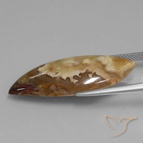 Jasper Gemstone in 34.9 x 14.4 mm Size for Sale, Jasper Stone in Multicolor Color