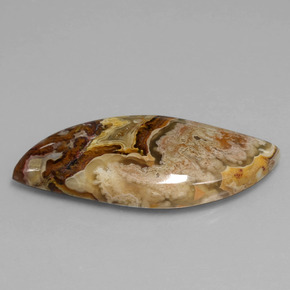 24.71 ct Multicolor Jasper Stone, Natural Jasper in Fancy Cabochon Shape for Sale