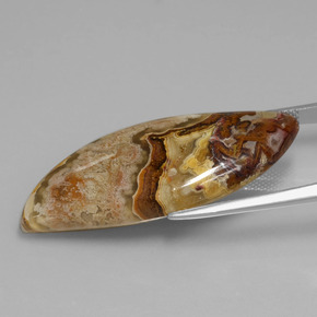 Jasper Gemstone in 37.7 x 15.7 mm Size for Sale, Jasper Stone in Multicolor Color